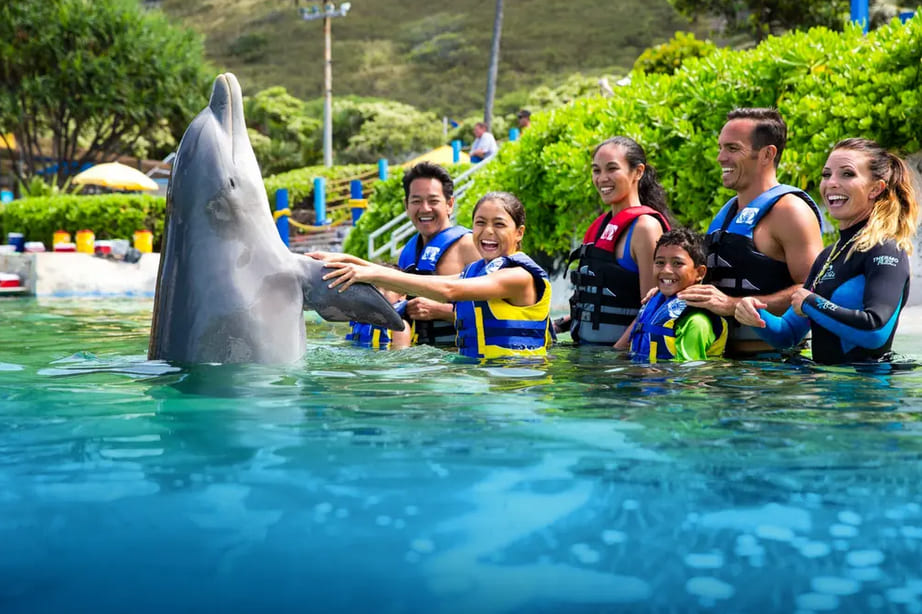 Sea Life Park Hawaii - Dolphin Encounter